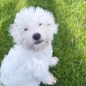 Meet your Posher, Catherine